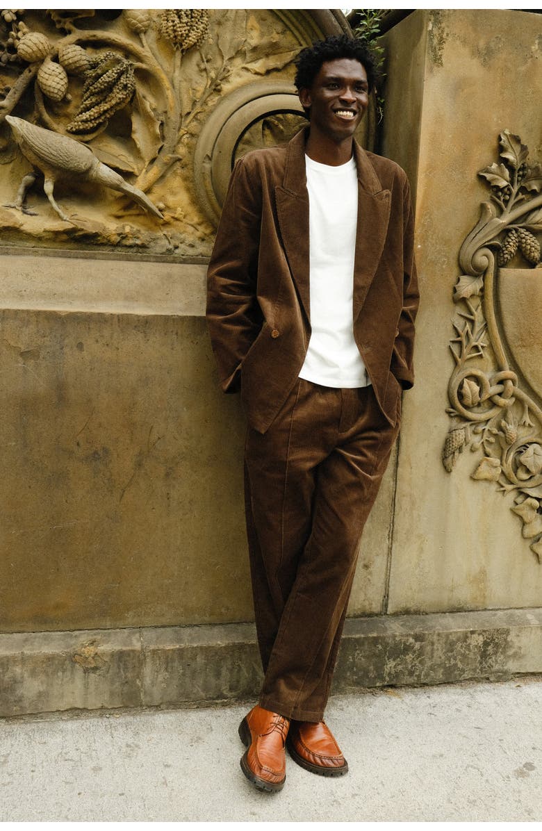 Tombolo Easy-Going Pants, Alternate, color, Brown