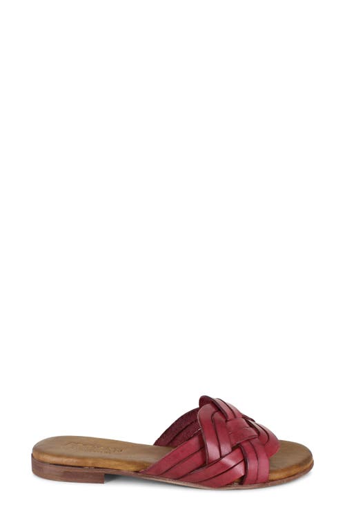 Artisan Crafted By Zigi Arutzy Slide Sandal In Multi
