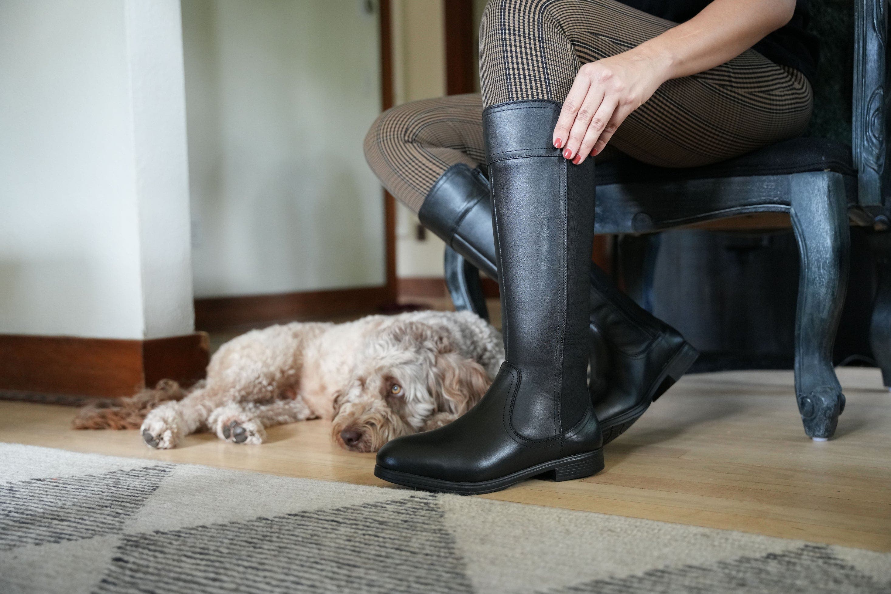 Xena Workwear Nova Steel Toe Riding Safety Boot, Alternate, color, Black