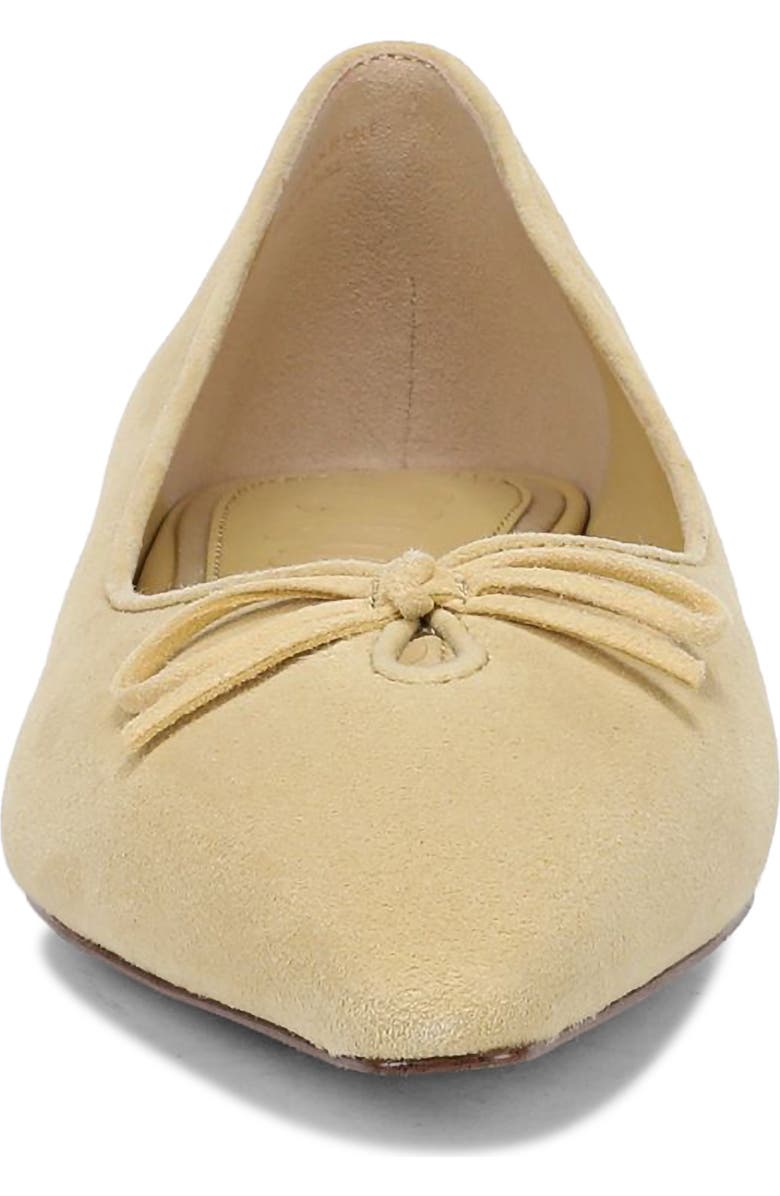 Sam Edelman Esmira Pointed Toe Flat, Alternate, color, Dusty Yellow