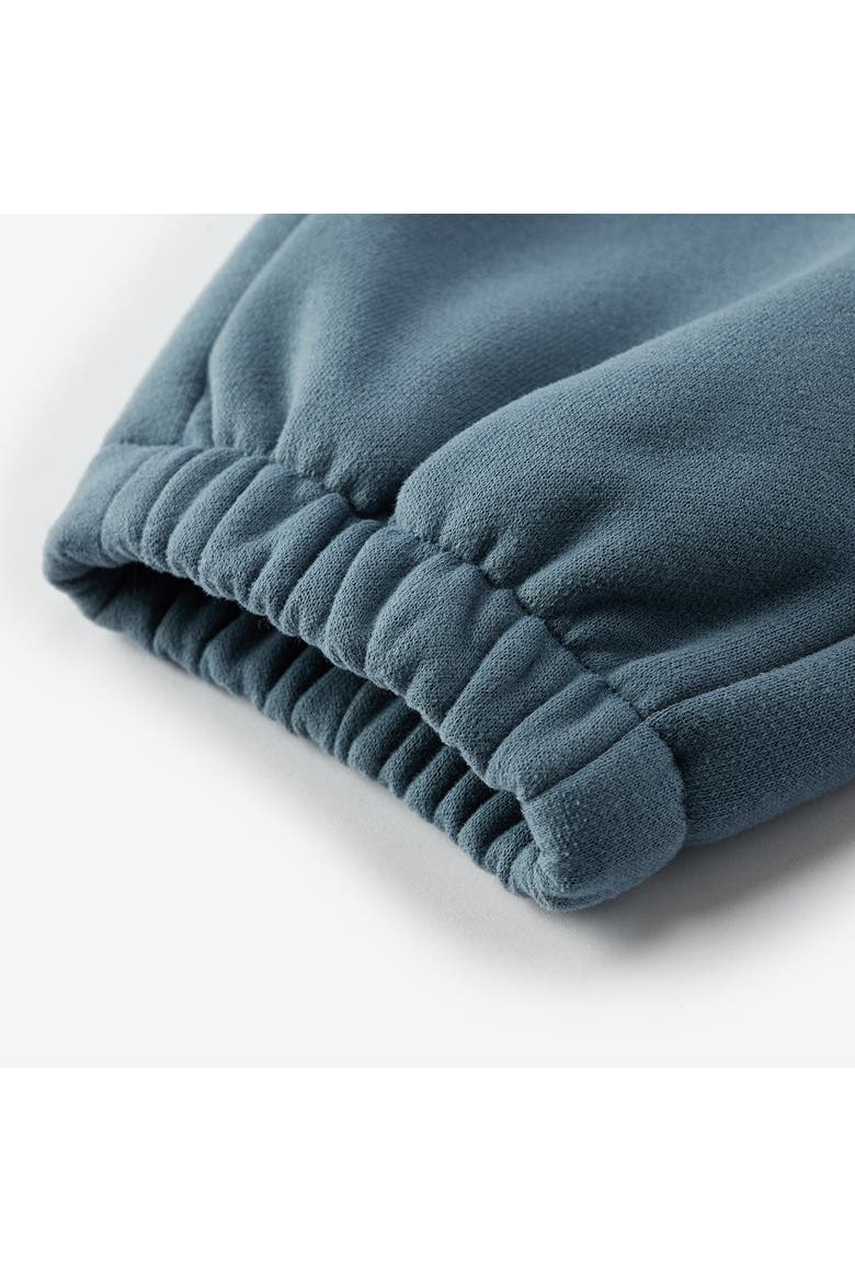 Cozy Sweatpants, Alternate, color, Dark Blue