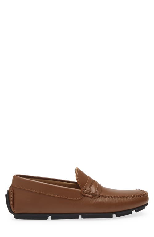 Bruno Magli Pelican Penny Loafer In Brown