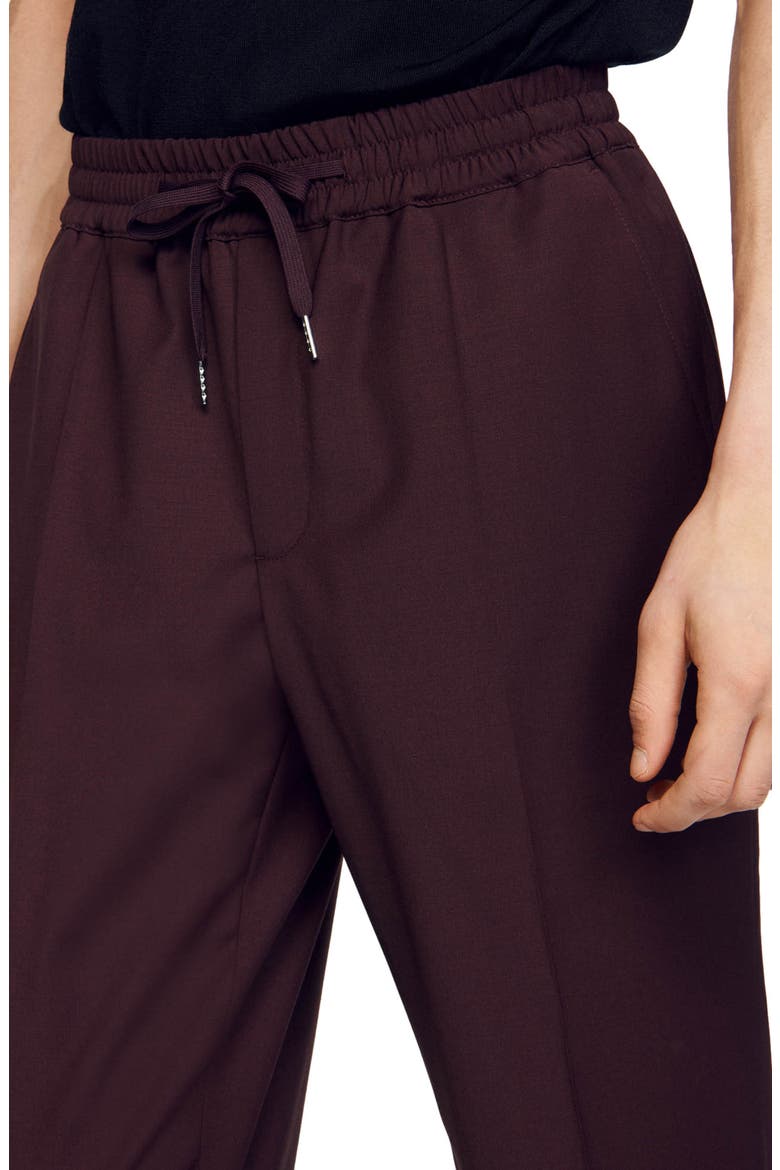 New Alpha Straight Leg Wool Blend Pants, Alternate, color, BLACK BROWN