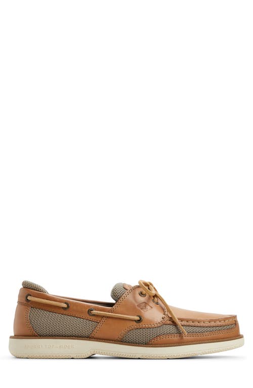 Sperry Surveyor 2-eye Boat Shoe In Brown