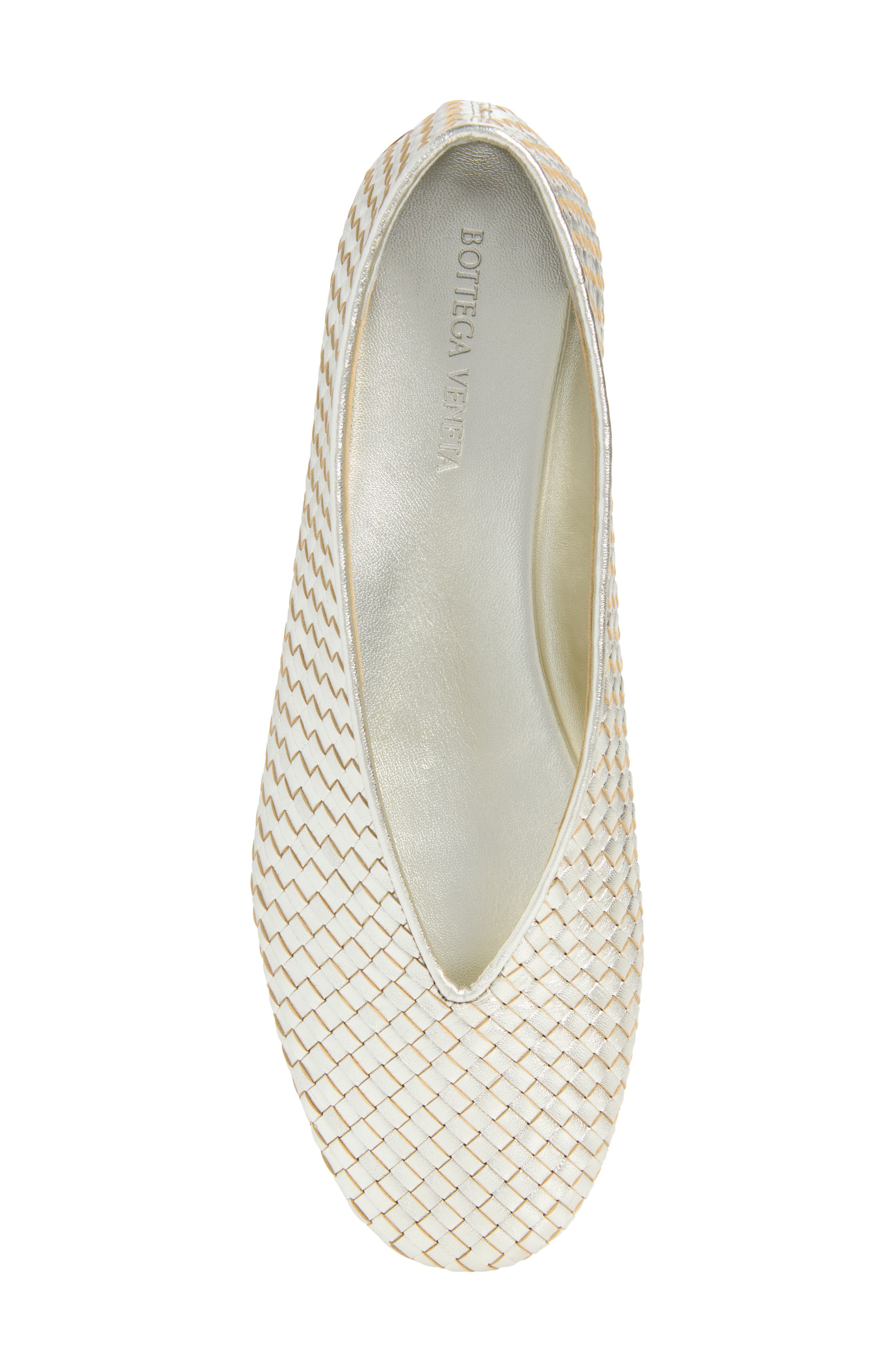 Rosa Ballerina Leather Flat, Alternate, color, 1561 PLATINUM
