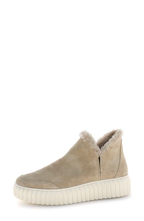 Voile Blanche Luna Genuine Shearling Lined Bootie In Neutral