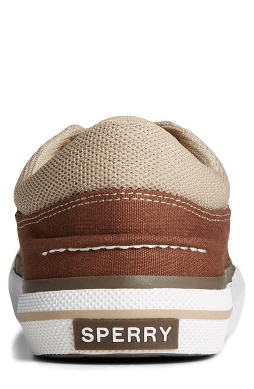 Sperry Top-sider® Sperry Crossjack Sneaker In Khaki