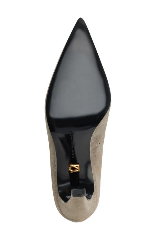 Donna Karan New York Donna Pointed Toe Pump In Cloud/silver