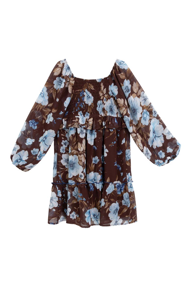Kids' Long Sleeve Chiffon Babydoll Dress, Alternate, color, BROWN/ BLUE JM