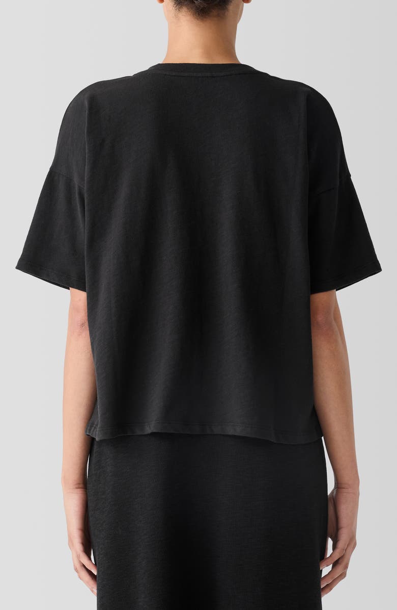 Eileen Fisher Crewneck Organic Cotton T-Shirt, Alternate, color,