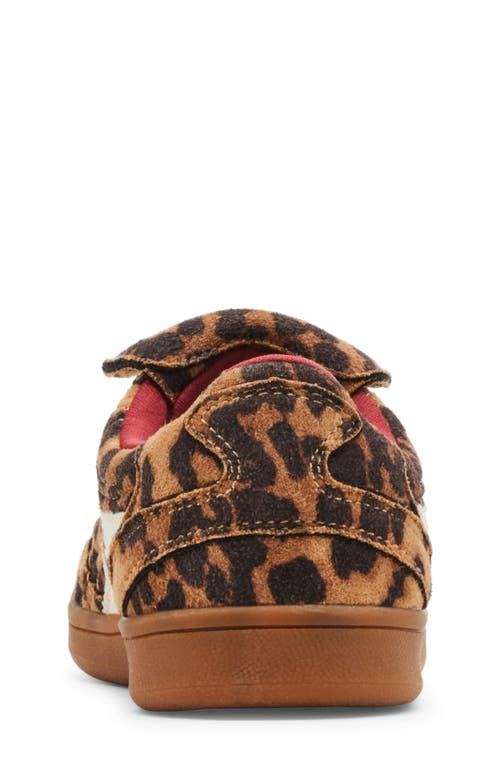 Steve Madden Jmadridd Sneaker In Leopard