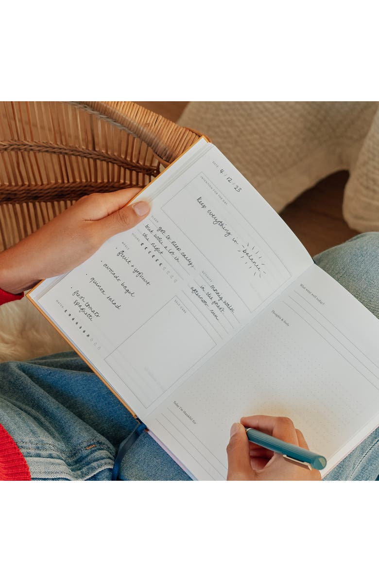 Papier Fairy Flies Wellness Journal, Alternate, color, 