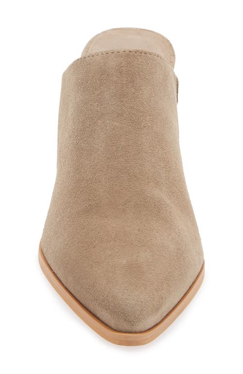 Chocolat Blu Emery Pointed Toe Mule In Brown
