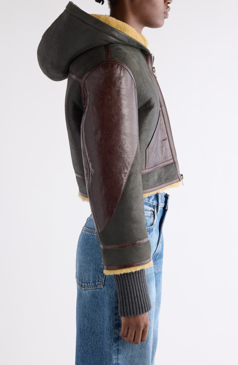 Acne Studios Litera Genuine Shearling & Leather Hooded Jacket, Alternate, color, Brown/ Beige