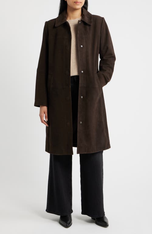 Bernardo Long Suede Coat in Dark Brown at Nordstrom, Size Large
