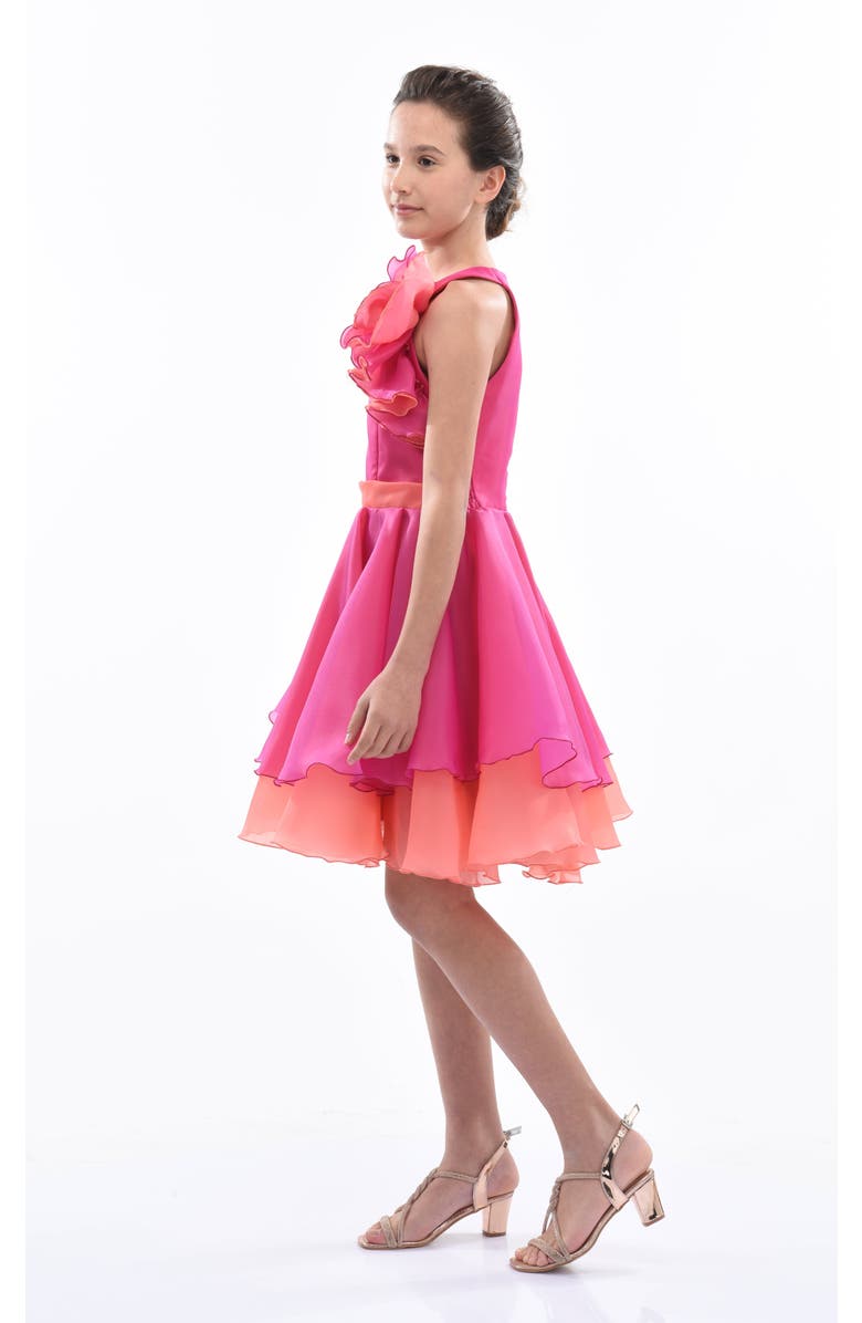 Tulleen Estancia Dress, Alternate, color, Fuchsia