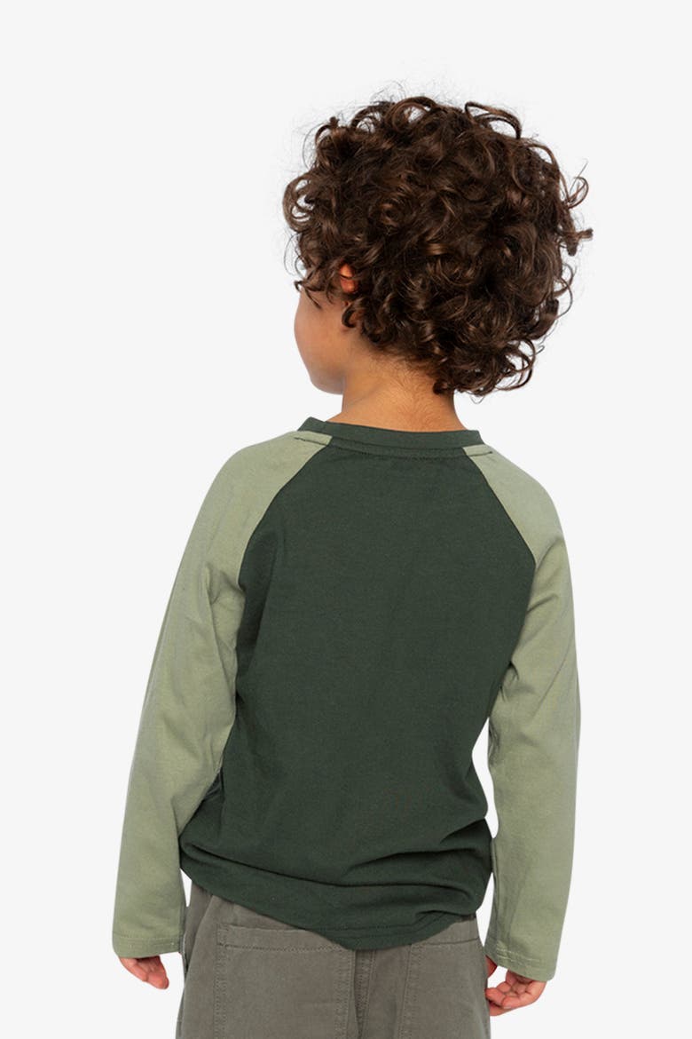 Cotton Raglan Sleeves Nature T-Shirt, Alternate, color, Jasper Printed Green