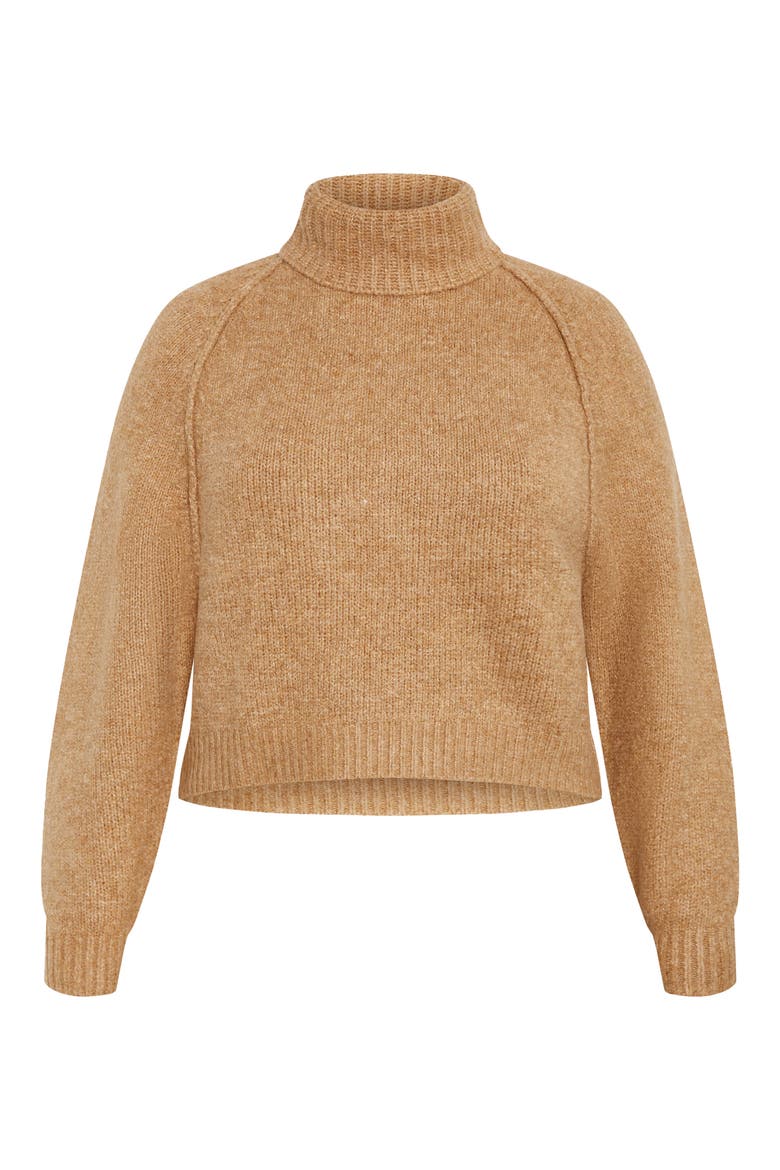 Demi Turtleneck Sweater, Alternate, color, SAND
