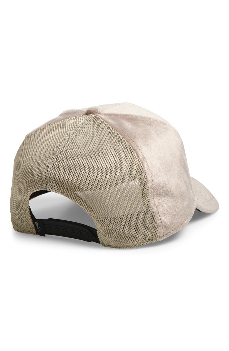 Goorin Bros. Velour Baseball Cap, Alternate, color, Taupe