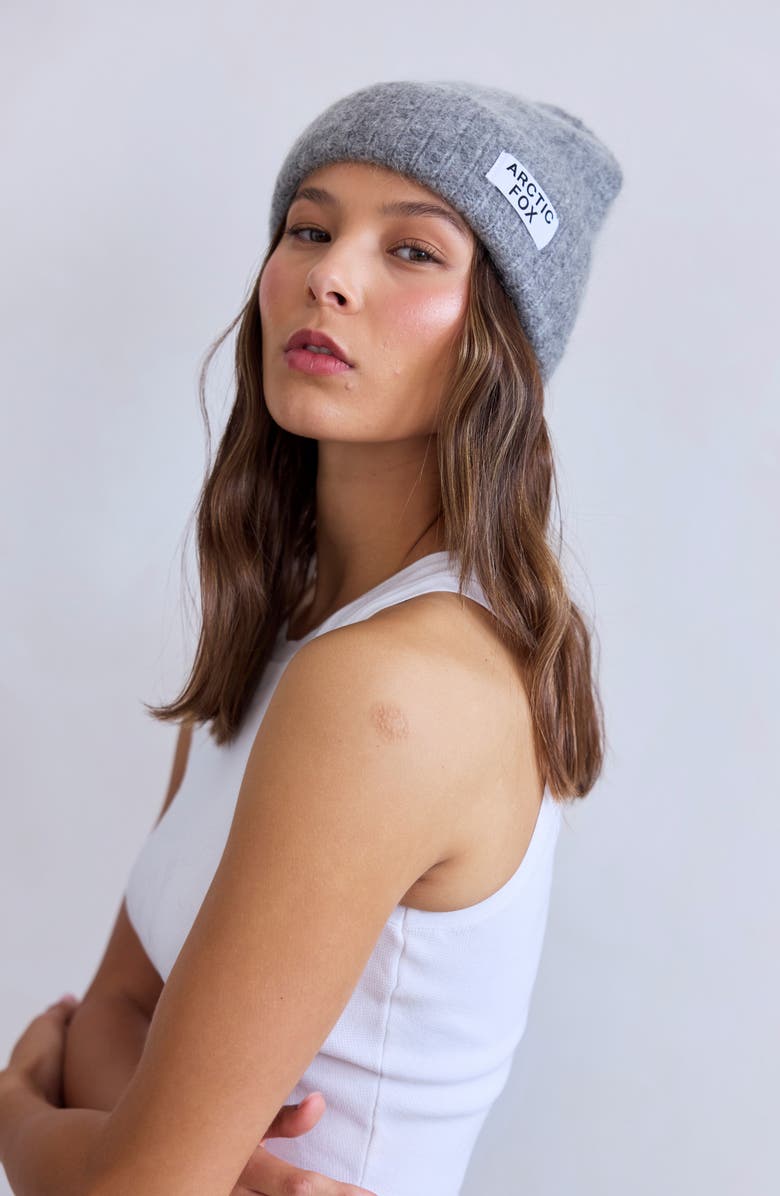 Arctic Fox & Co The Mohair & Merino Wool Blend Beanie, Alternate, color, Arctic Grey