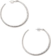 AllSaints Serpent Hoop Earrings