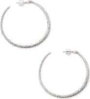 AllSaints Serpent Hoop Earrings