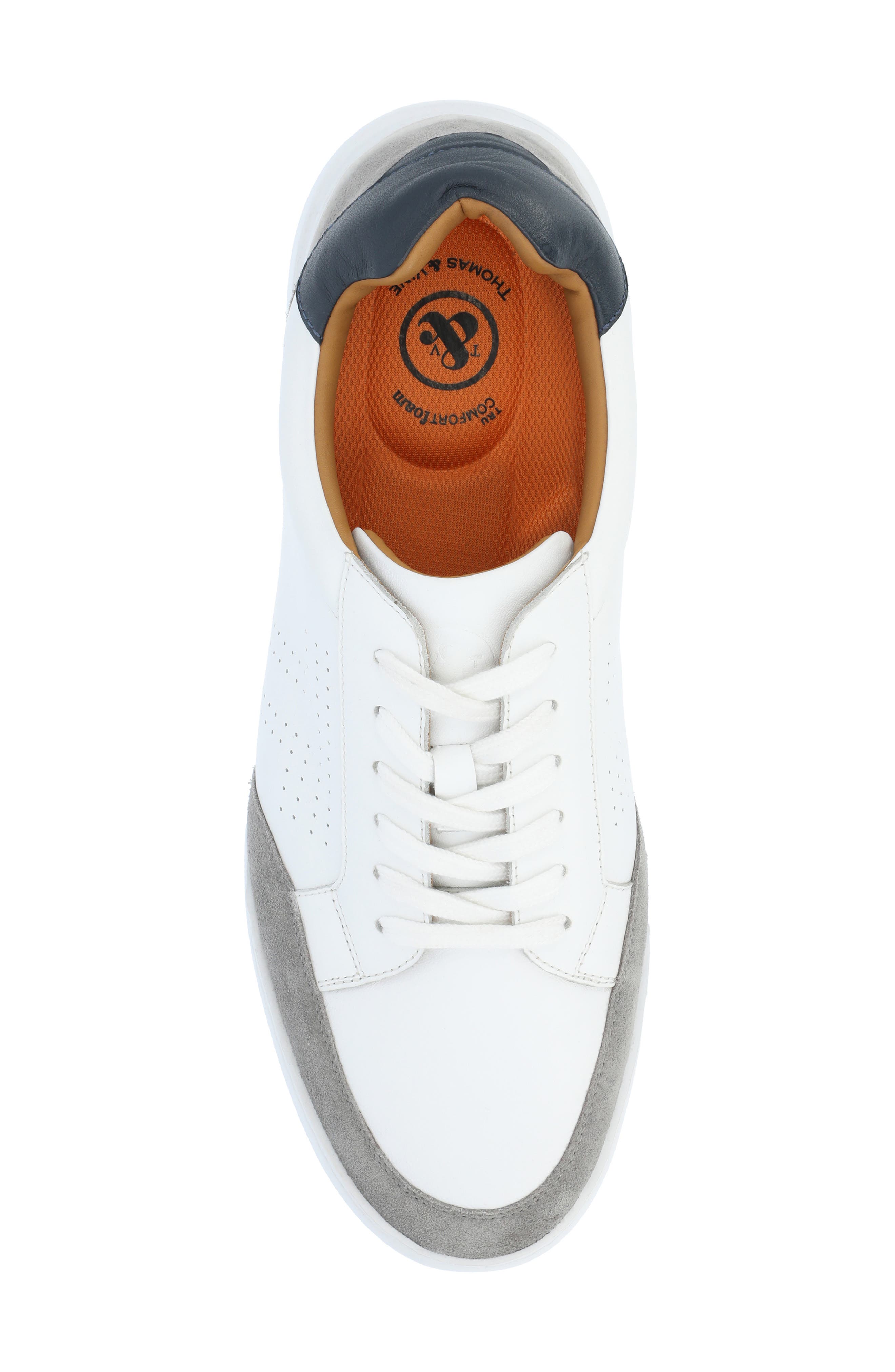 Thomas & Vine Roderick Sneaker, Alternate, color, 