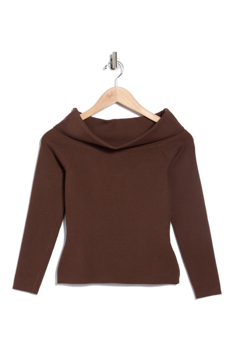 Off the Shoulder Rib Knit Top, Alternate, color, BROWN