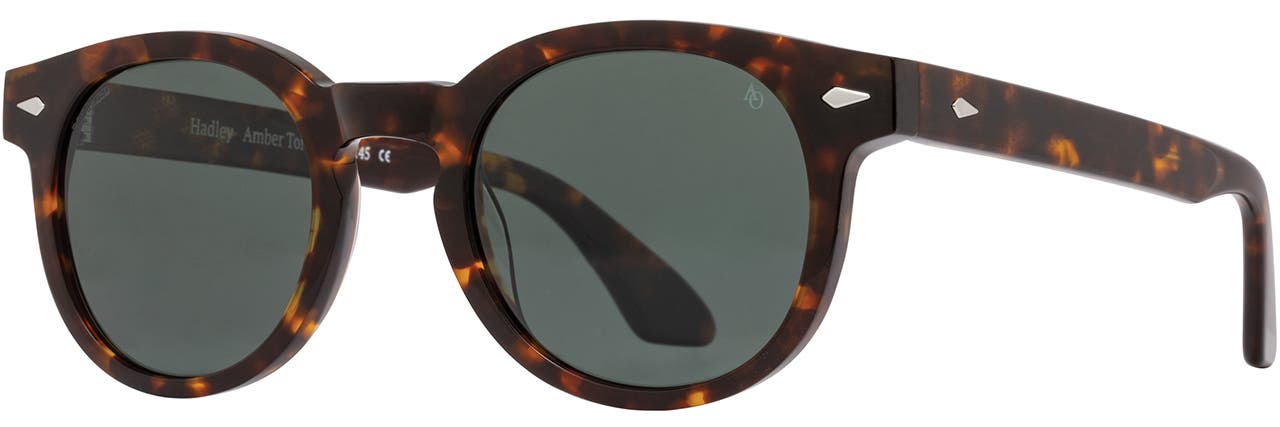 Amber Tortoise - GNN-P