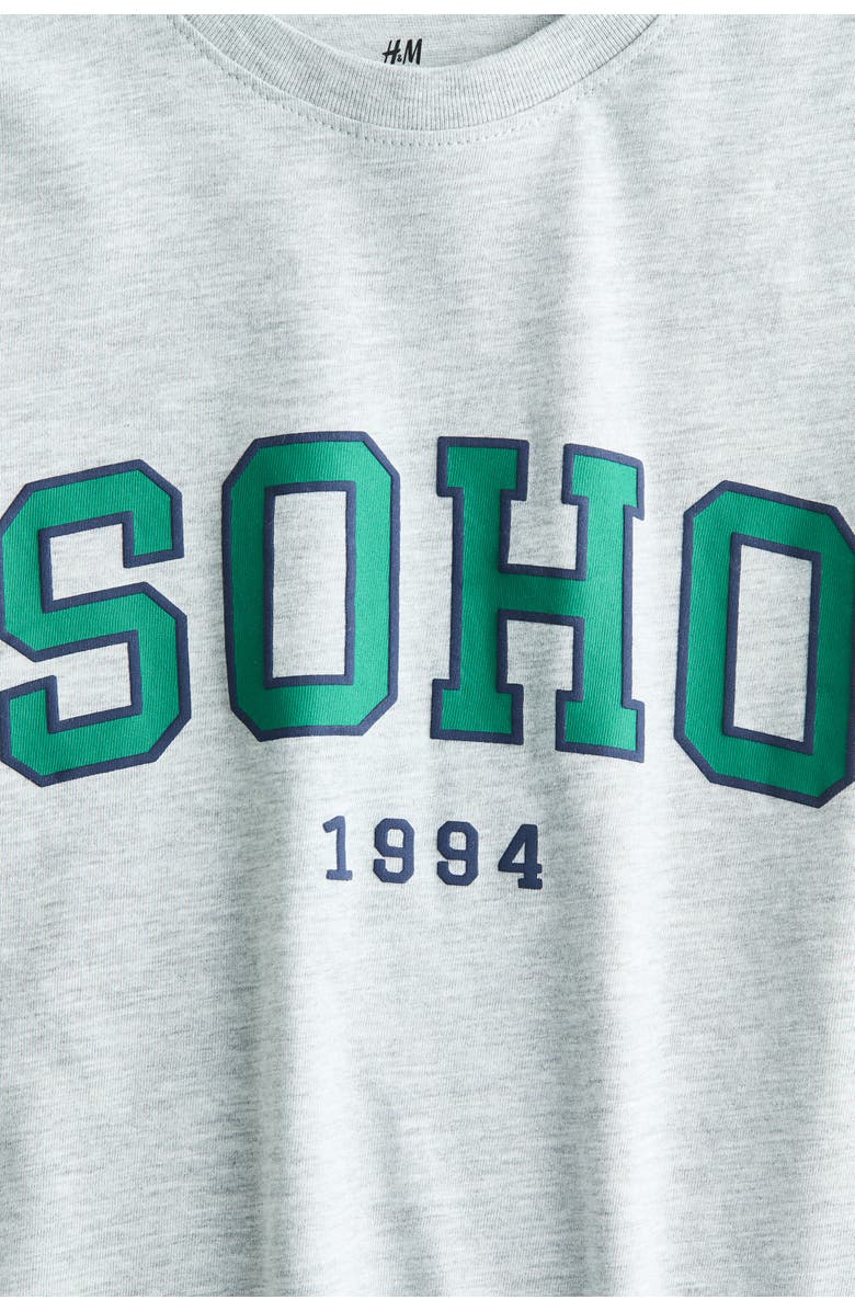 H&M Printed Cotton T-shirt, Alternate, color, Light Gray Melange/Soho