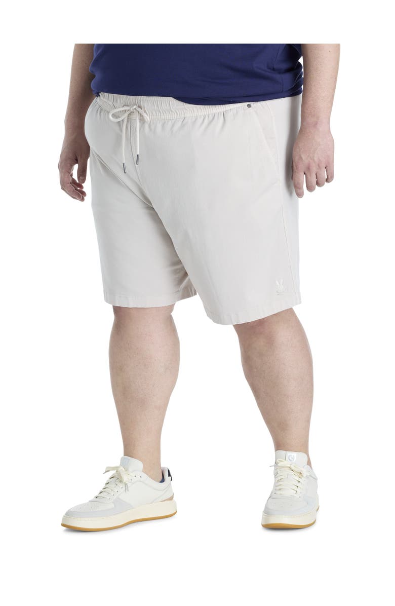 Psycho Bunny Big & Tall Willis Stretch Shorts, Main, color, Natural Linen