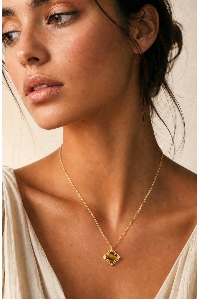 Amelia 14k Gold Plated Tiger's Eye Necklace, Alternate, color, GOLD
