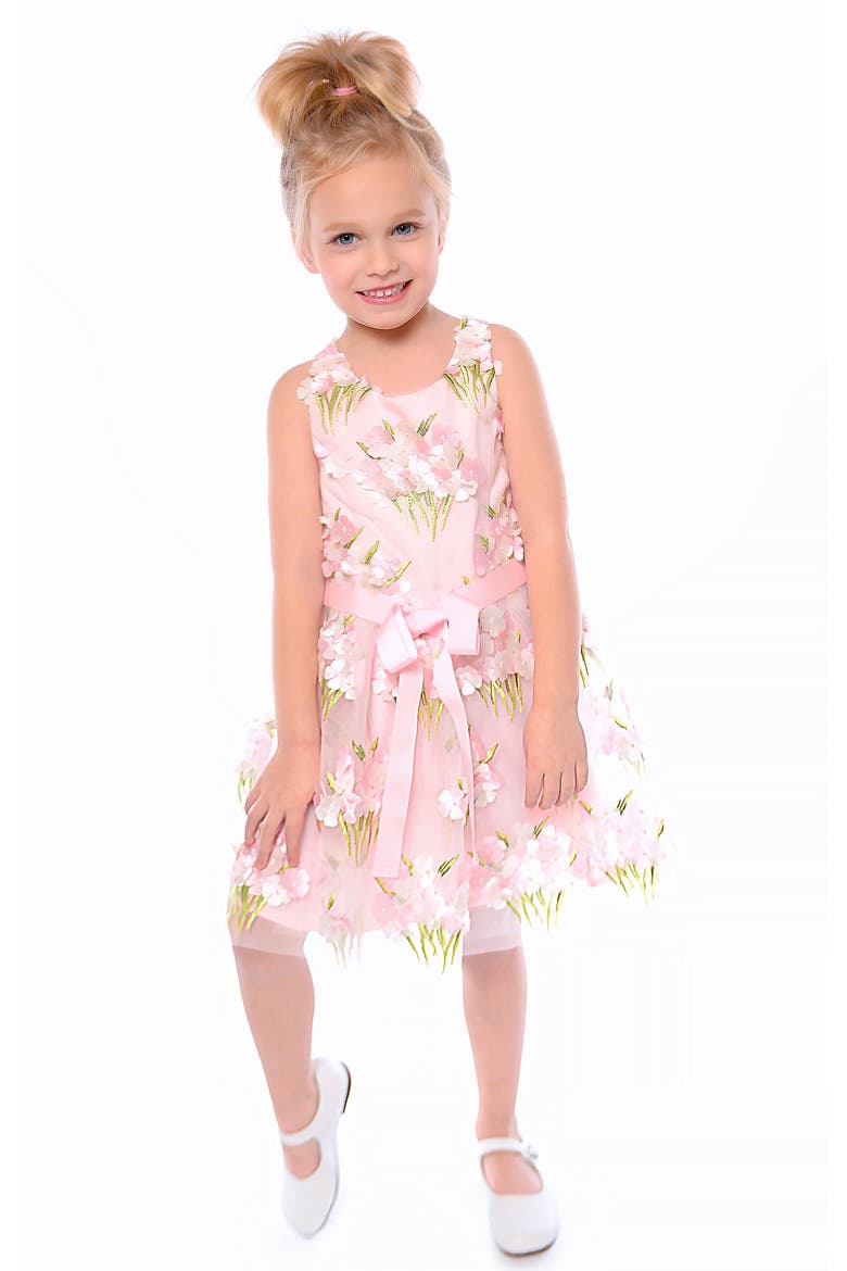 Kids' Embroidered Party Dress, Alternate, color, PINK MULTI