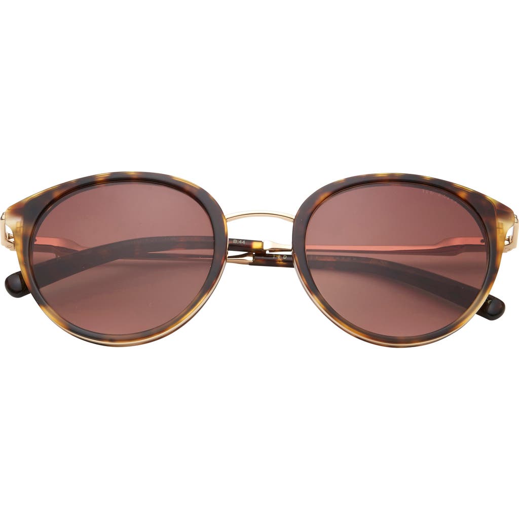 Ted Baker 50mm Gradient Round Sunglasses In Brown