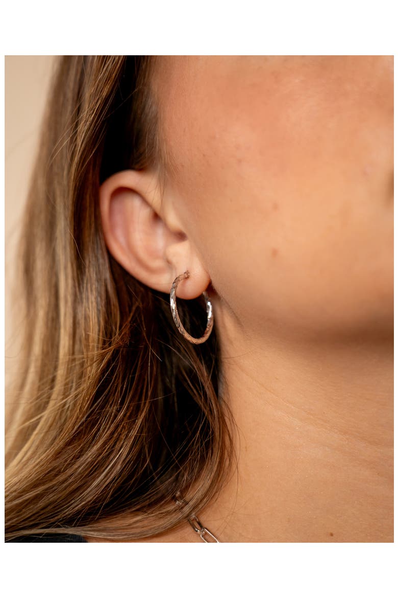Anita Hoop Earrings, Alternate, color, SILVER