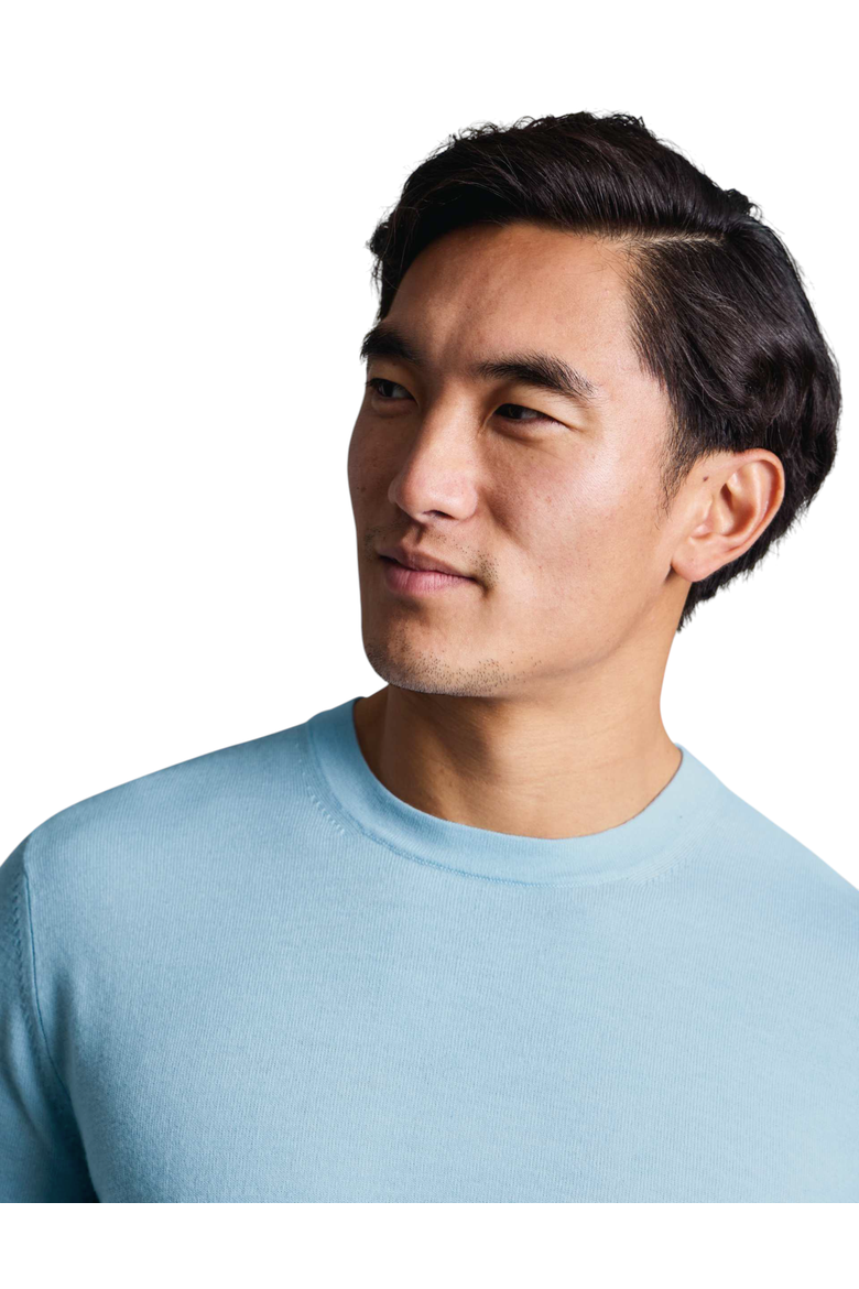 Merino Crew Neck Sweater, Alternate, color, Ice Blue