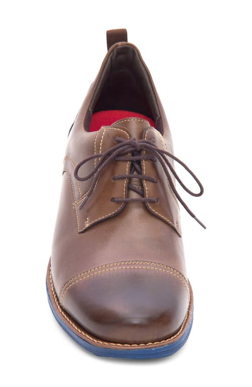 Sandro Moscoloni Jared Straight Tip Blucher Oxford In Brown
