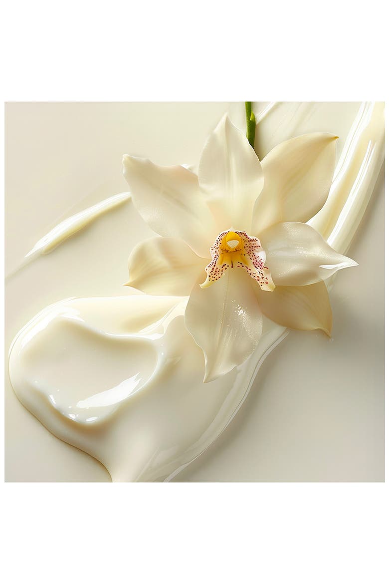 Masque à l’Orchidée Hydrating Mask for Thick, Dry or Frizzy Hair, Alternate, color, NO COLOR