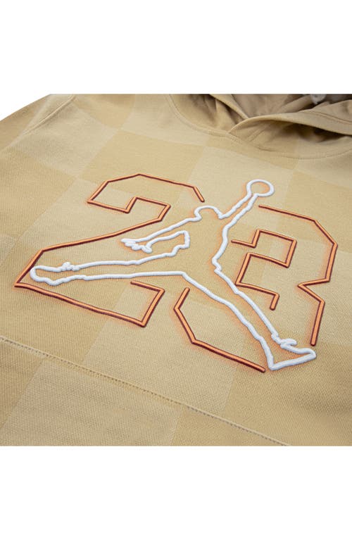 Jordan Boys Deep Dish Pullover Hoodie In Brown