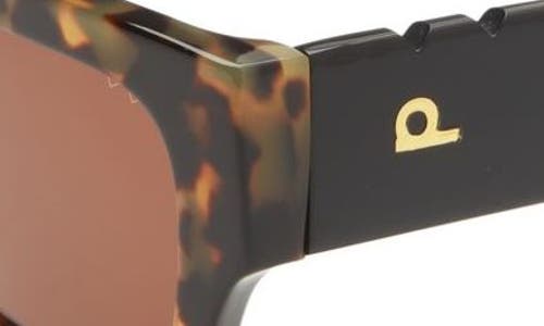 Pared Bread & Butter 51.5mm Cat Eye Sunglasses In Tortoise