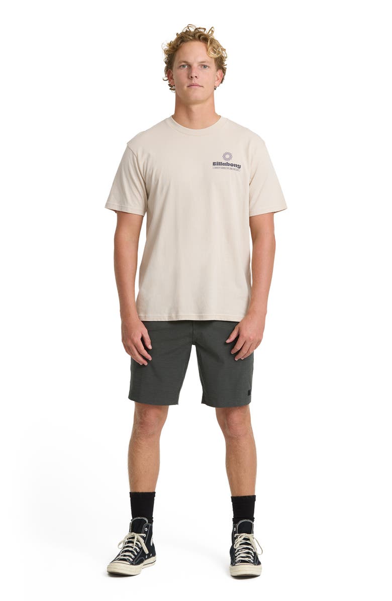 Billabong Single Fin Premium Graphic T-Shirt, Alternate, color, Oatmeal