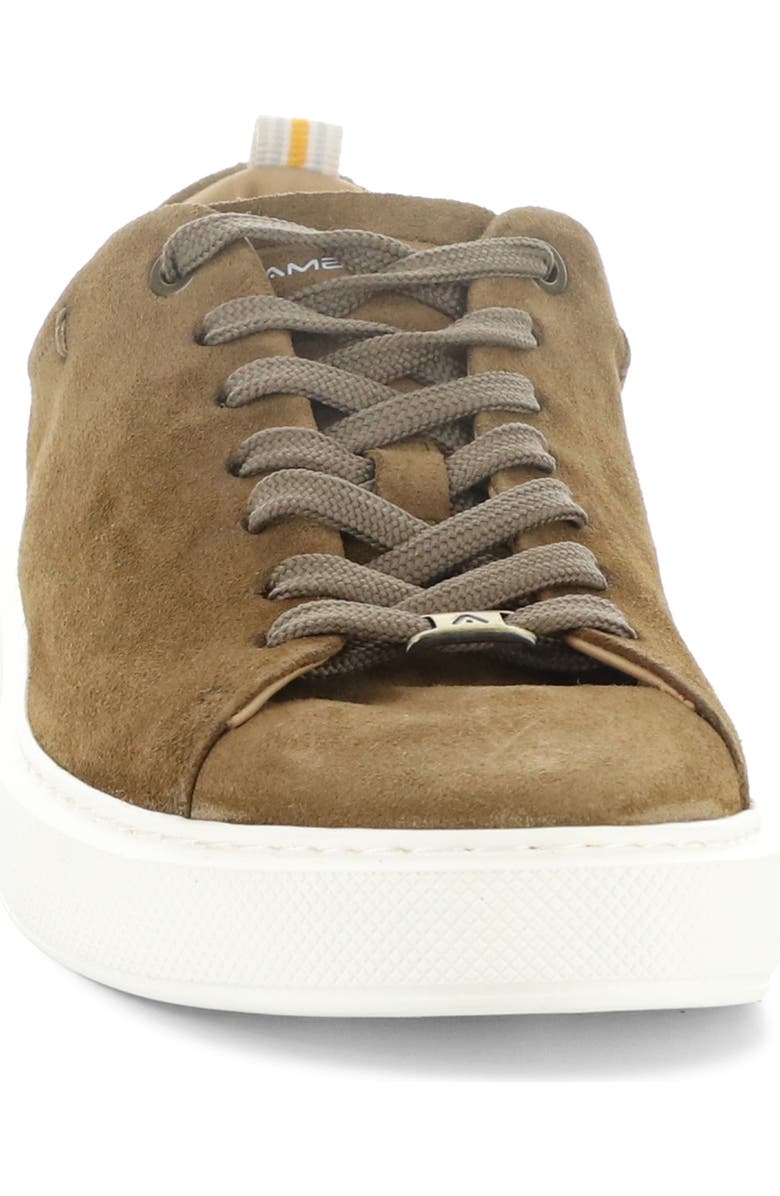 Ambitious 13797 Low Top Sneaker, Alternate, color, Taupe Suede