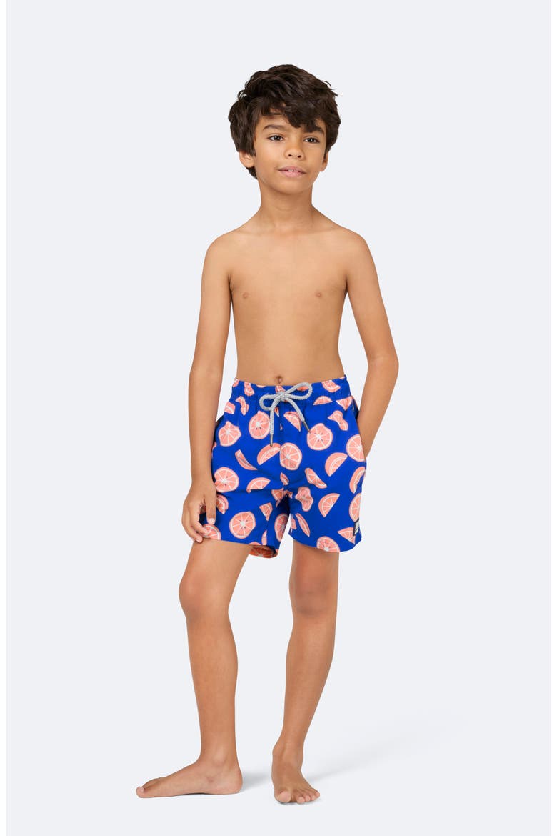 Kids' Citrus Print Swim Trunks, Alternate, color, COBALT & PINK