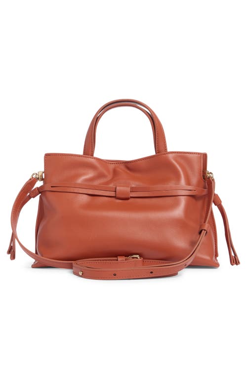 Sam Edelman Poppy Small Drawstring Crossbody Bag In Orange