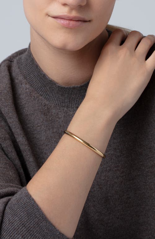 Jenny Bird Remi Hinge Bangle Bracelet In Gold