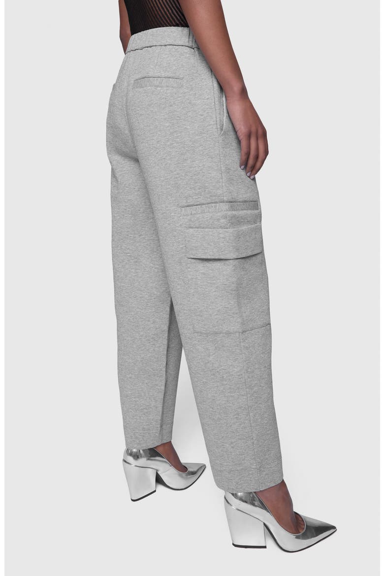 Viv Cotton Blend Scuba Cargo Pants, Alternate, color, HEATHER GREY