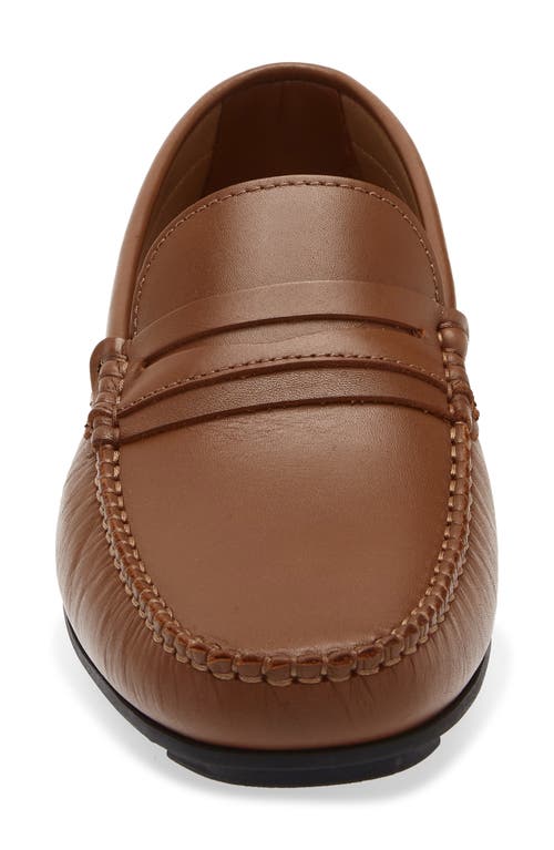Bruno Magli Pelican Penny Loafer In Brown