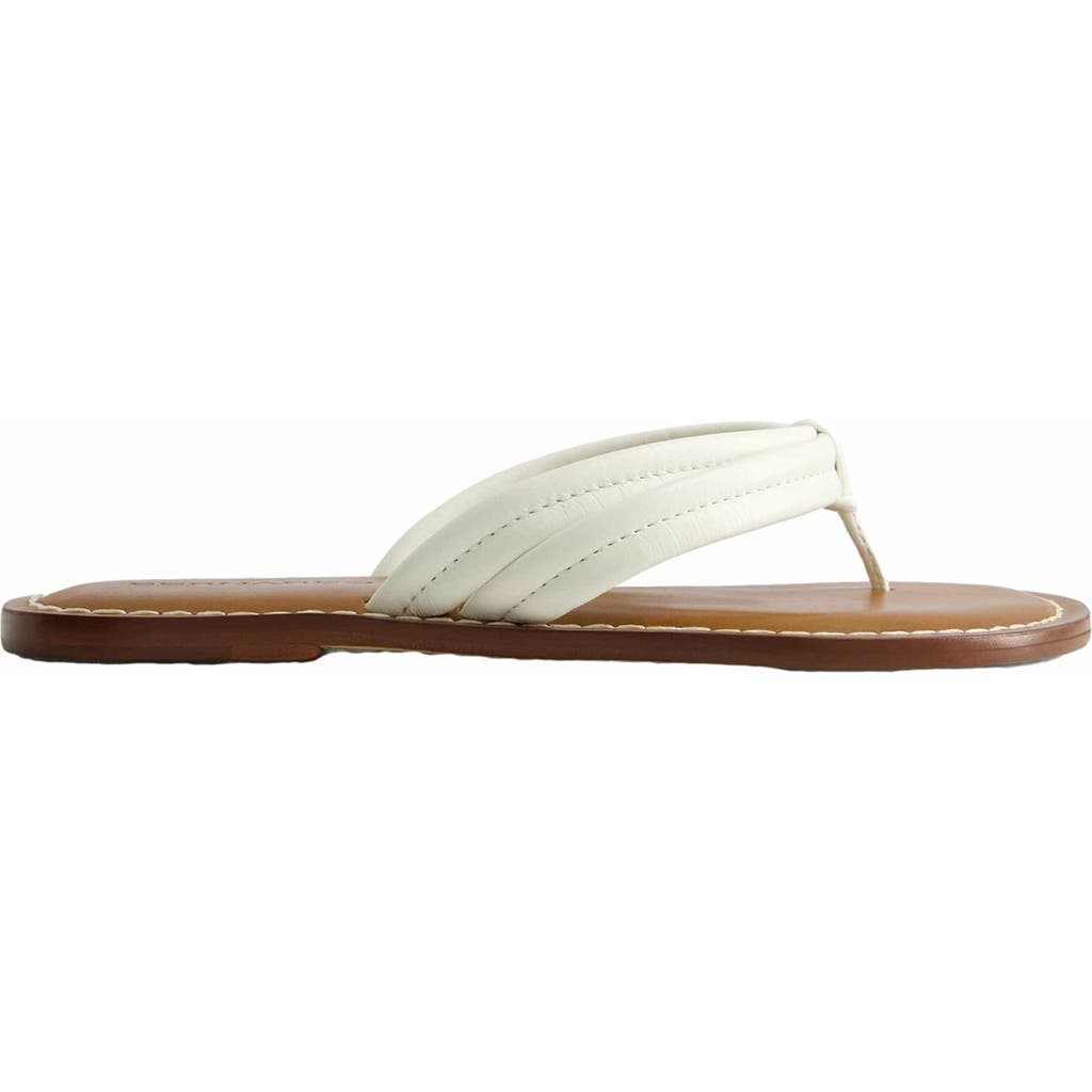 BERNARDO FOOTWEAR BERNARDO FOOTWEAR MIAMI THONG SANDAL
