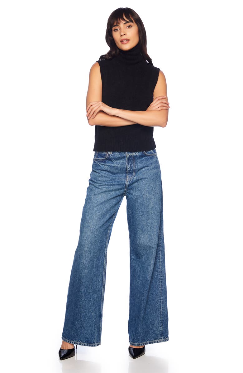 Susana Monaco Mapache Turtleneck Sleeveless Sweater, Alternate, color,