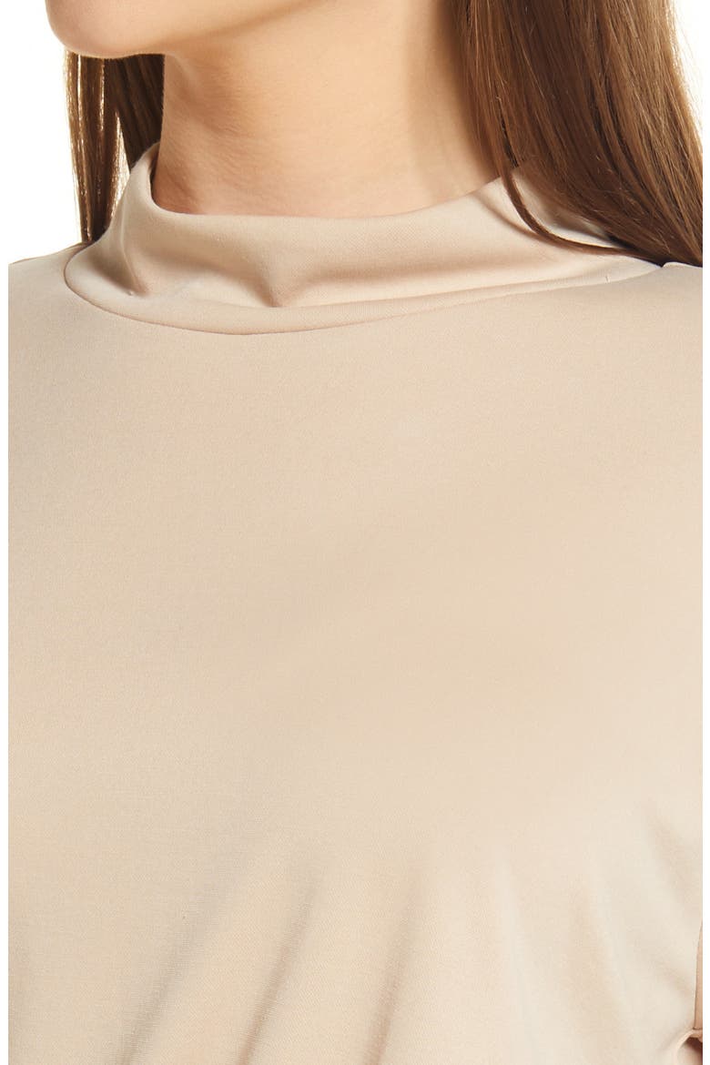 Long Sleeve Mock Neck Minidress, Alternate, color, TAN GREY
